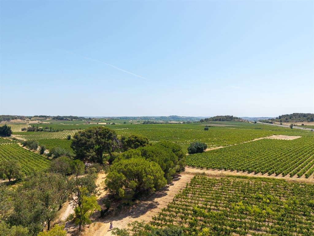 Domaine viticole Puisserguier