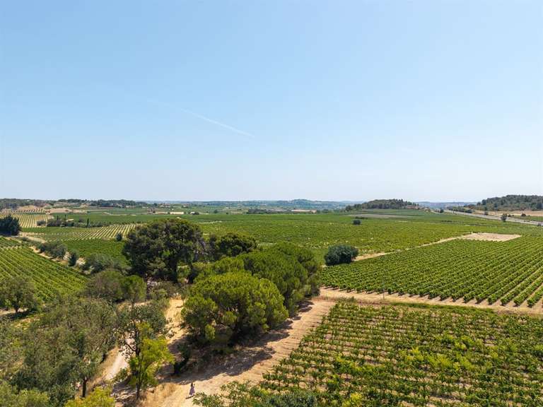 Domaine viticole Puisserguier - 18 chambres - 781m²