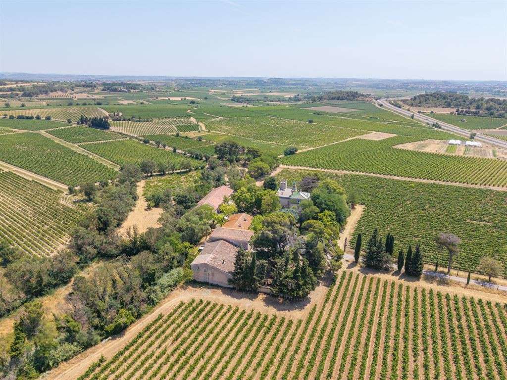 Domaine viticole Puisserguier