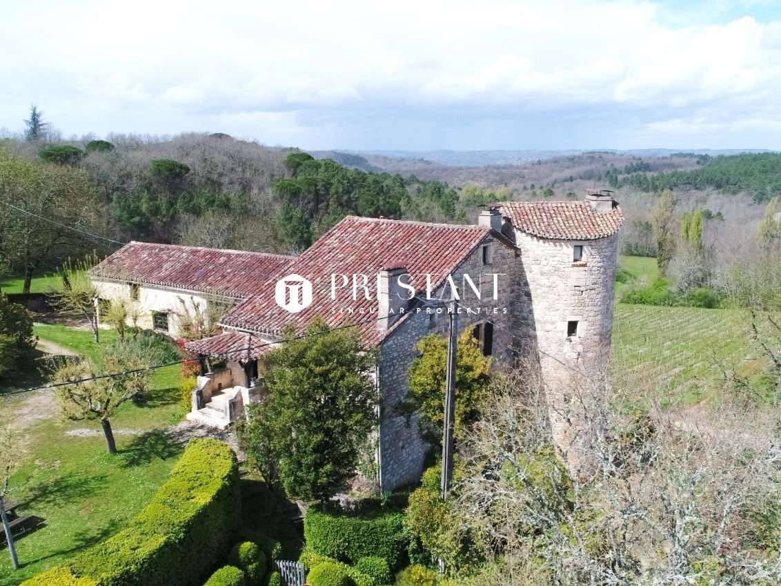 Château Puy-l'Évêque