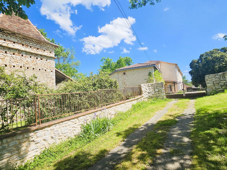 Maison Puylaroque - 6 chambres - 234m²