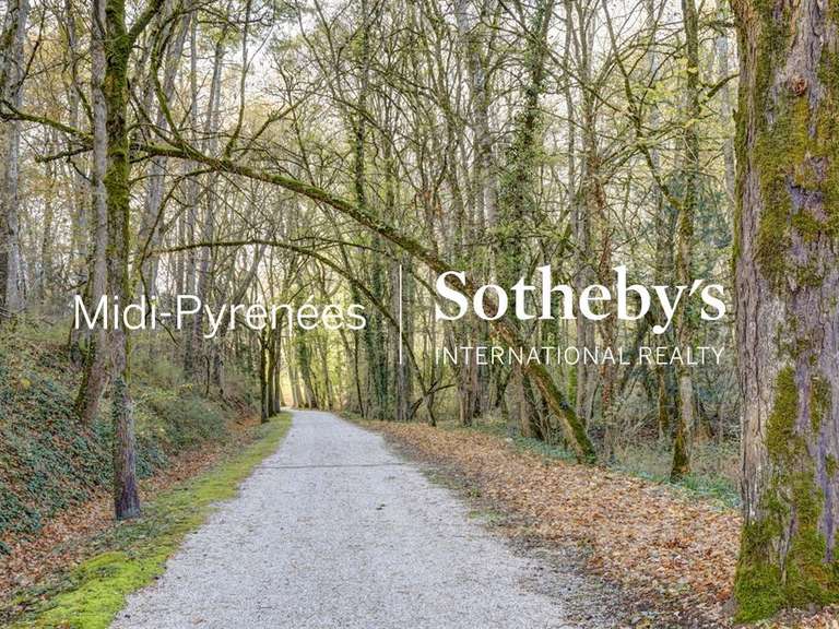 Maison Puylaurens - 7 chambres - 458m²