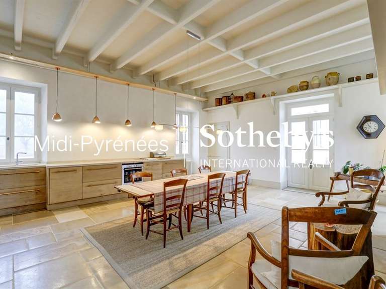 Maison Puylaurens - 7 chambres - 482m²