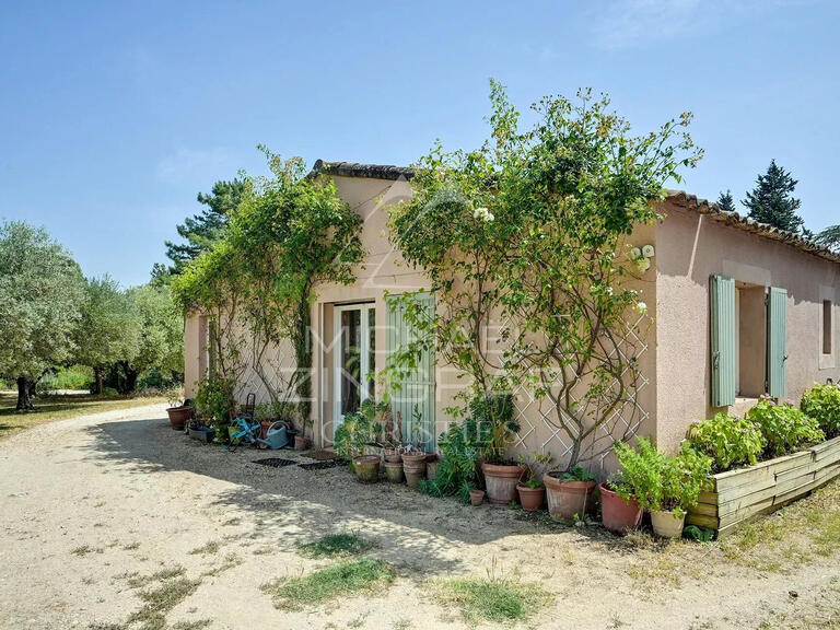 Maison Puyvert - 7 chambres - 480m²