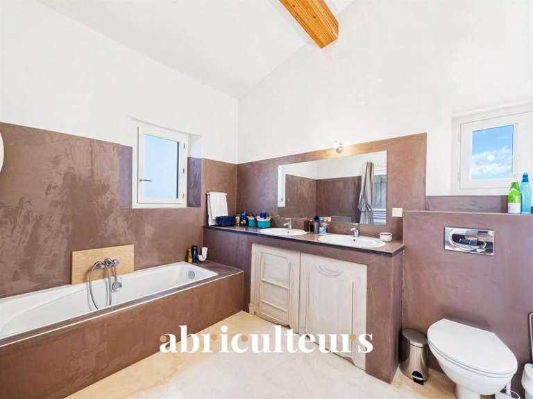 House Puyvert - 4 bedrooms - 170m²