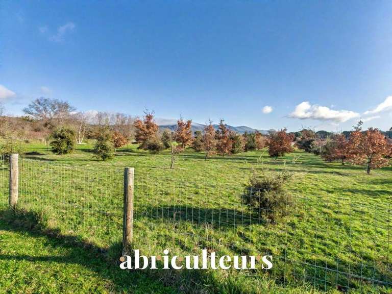 Maison Puyvert - 4 chambres - 170m²