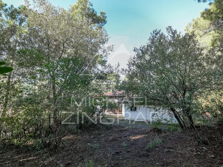 Maison Pyla-sur-mer - 3 chambres - 1241m²