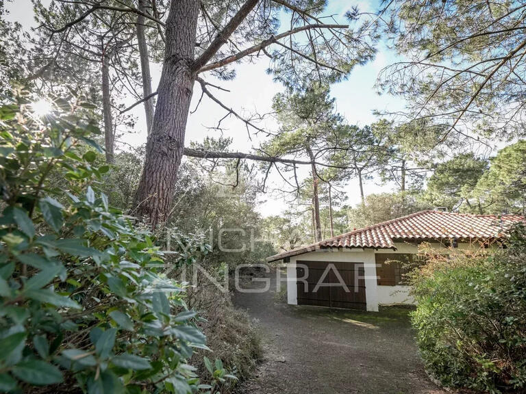 Maison Pyla-sur-mer - 3 chambres - 1241m²