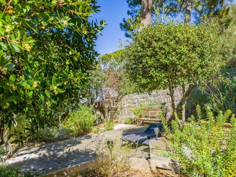 Maison Pyla-sur-mer - 2 chambres - 58m²