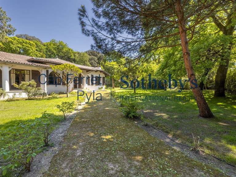 Maison Pyla-sur-mer - 5 chambres - 300m²