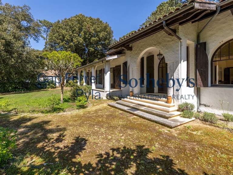 Maison Pyla-sur-mer - 5 chambres - 300m²