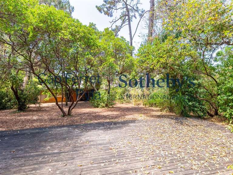 Maison Pyla-sur-mer - 4 chambres - 135m²