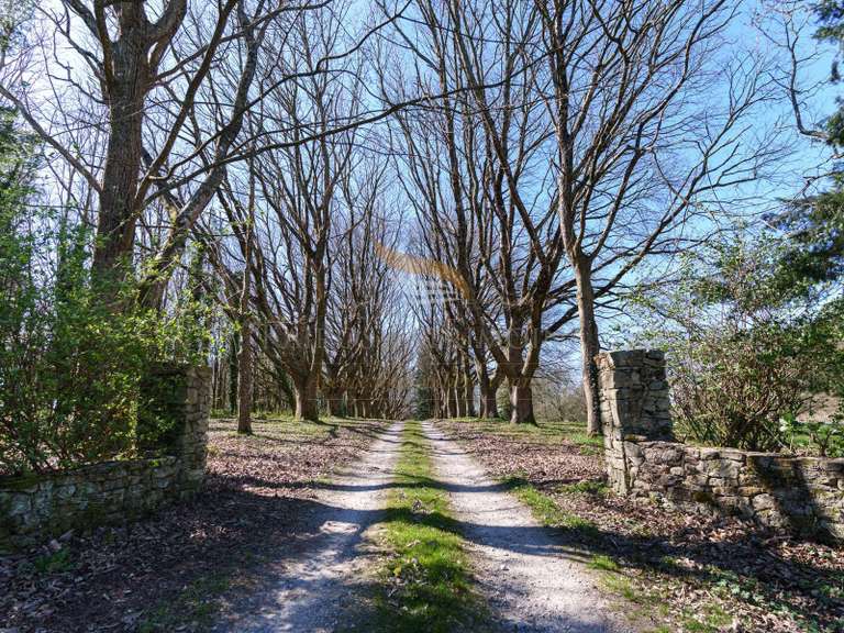 Maison Questembert - 5 chambres