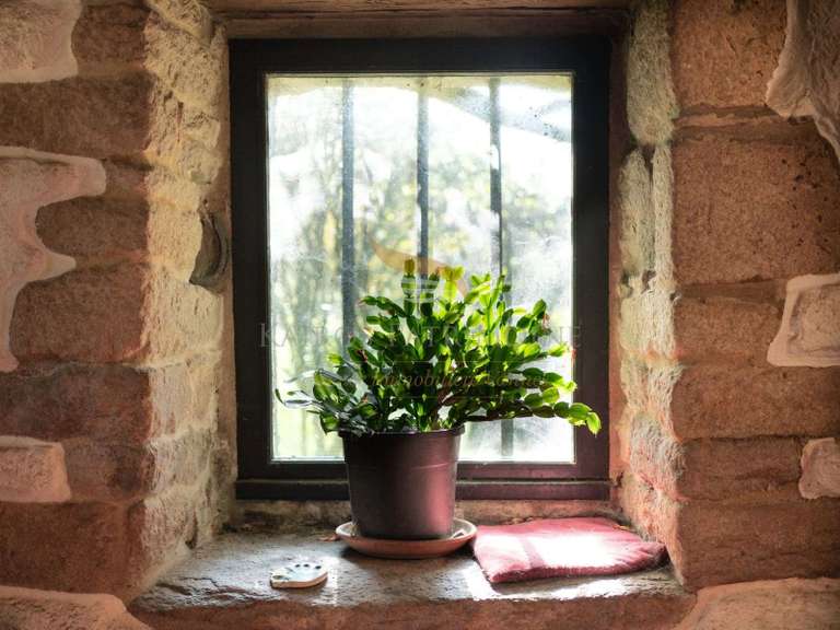 House Questembert - 8 bedrooms