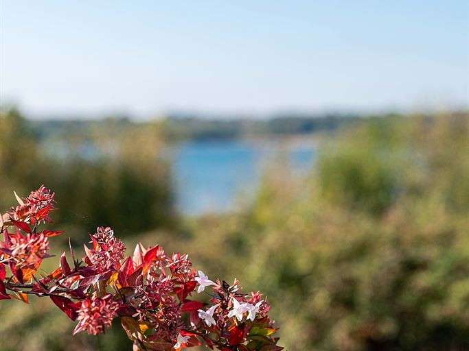 House Quimper - 5 bedrooms - 140m²