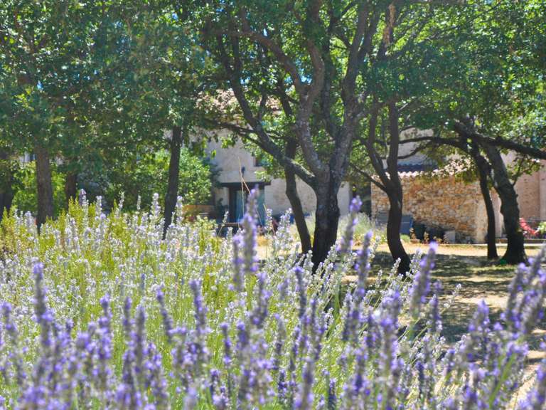 Maison Quinson - 14 chambres - 465m²