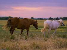 Maison Quinson - 14 chambres - 465m²