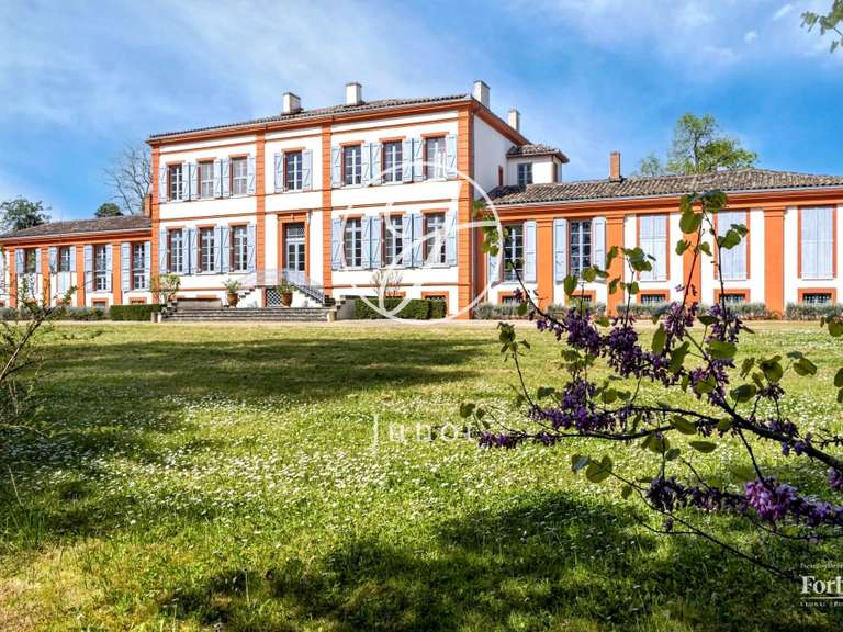 Château Quint-Fonsegrives - 11 chambres - 61429m²