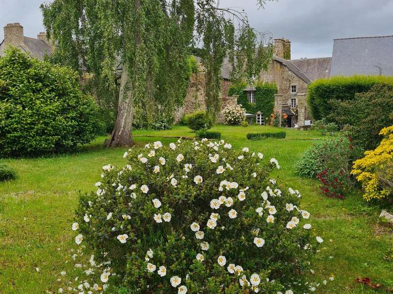 Maison Quintin - 6 chambres - 302m²