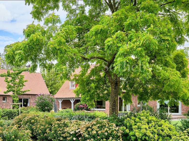 Maison Radinghem-en-Weppes - 6 chambres - 288m²