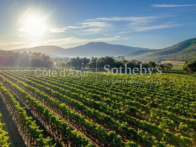Maison avec Vue sur mer Ramatuelle - 1 chambre - 31m²