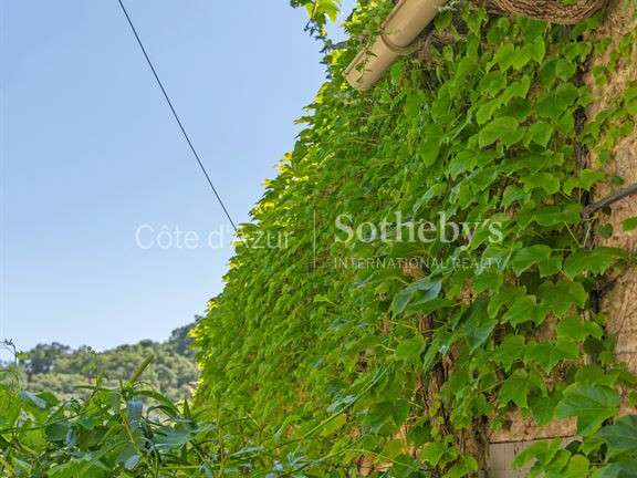 Maison Ramatuelle - 1 chambre - 44m²