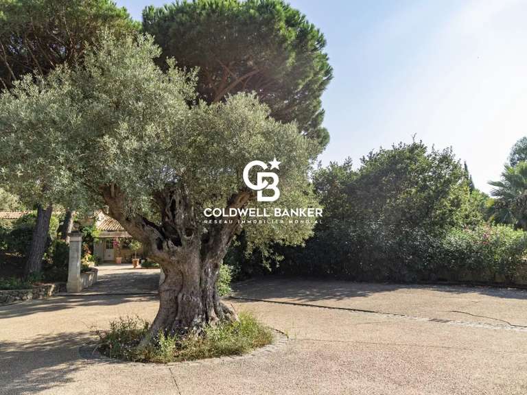 Propriété Ramatuelle - 9 chambres - 658m²