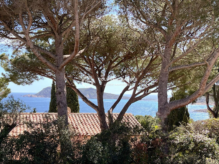 Villa Ramatuelle - 6 bedrooms - 463m²