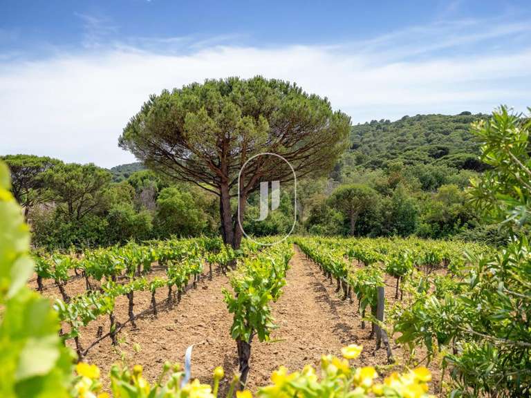 Villa Ramatuelle - 5 bedrooms - 185m²