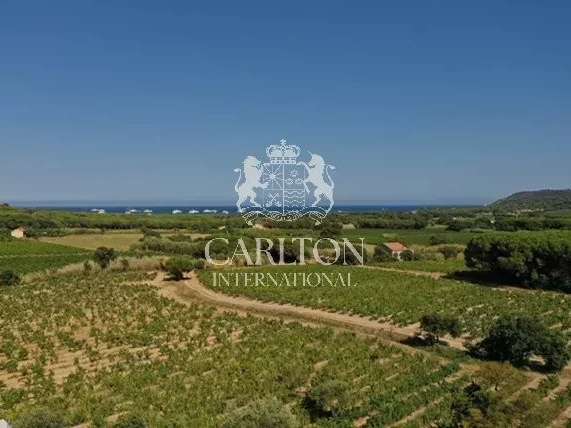 Villa Ramatuelle - 5 chambres - 250m²