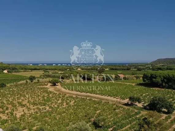 Villa Ramatuelle - 5 chambres - 250m²