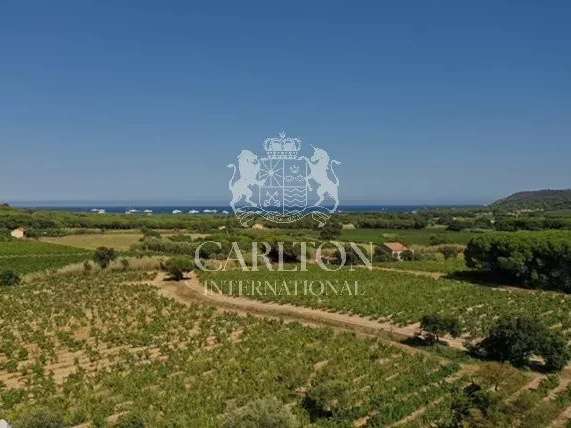 Villa Ramatuelle - 5 chambres - 250m²