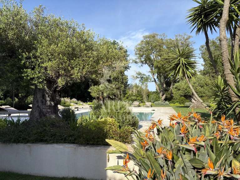 Villa Ramatuelle - 6 chambres - 300m²