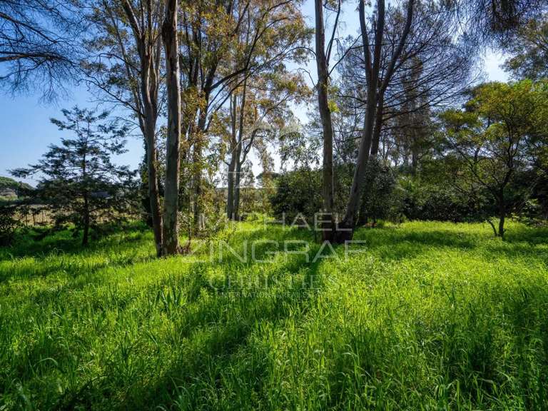 Villa Ramatuelle - 4 chambres - 212m²