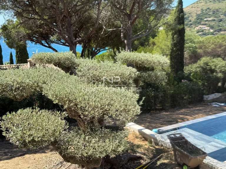 Villa with Sea view Ramatuelle - 6 bedrooms - 480m²