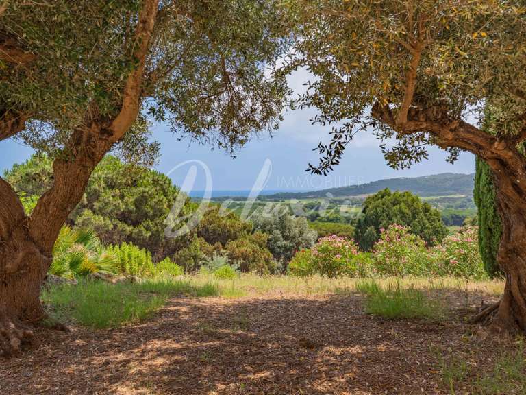 Villa with Sea view Ramatuelle - 6 bedrooms - 350m²