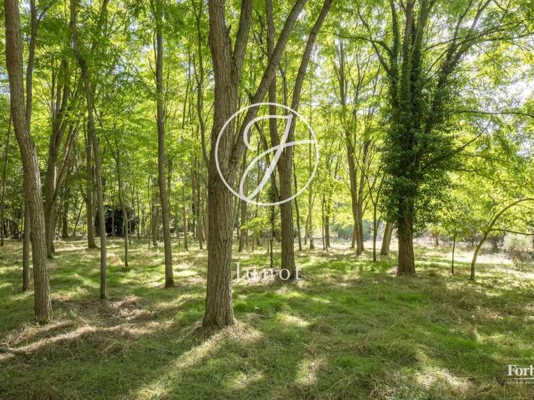 Moulin Rambouillet - 6 chambres - 370m²