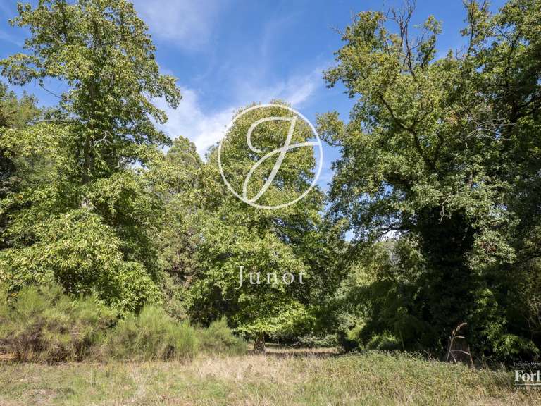 Moulin Rambouillet - 6 chambres - 370m²