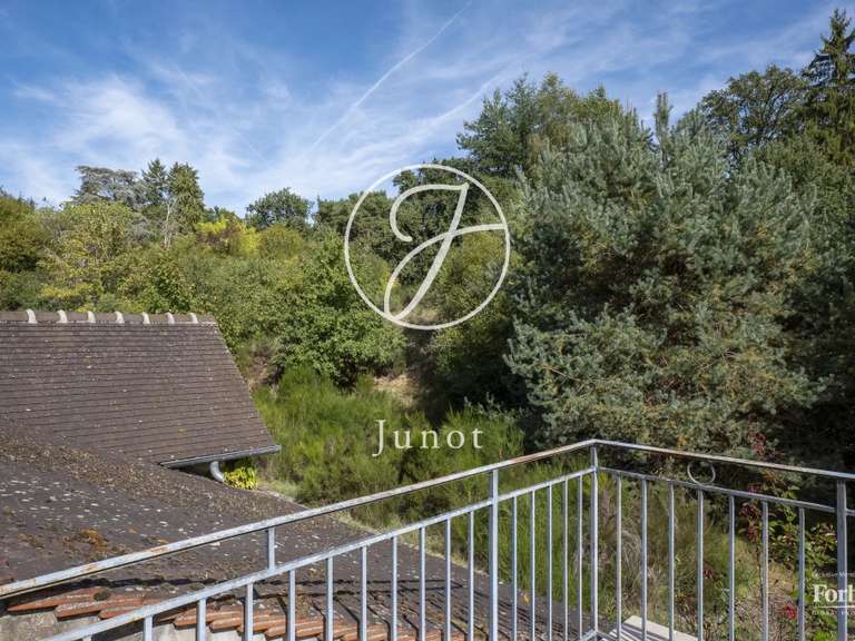 Moulin Rambouillet - 6 chambres - 370m²