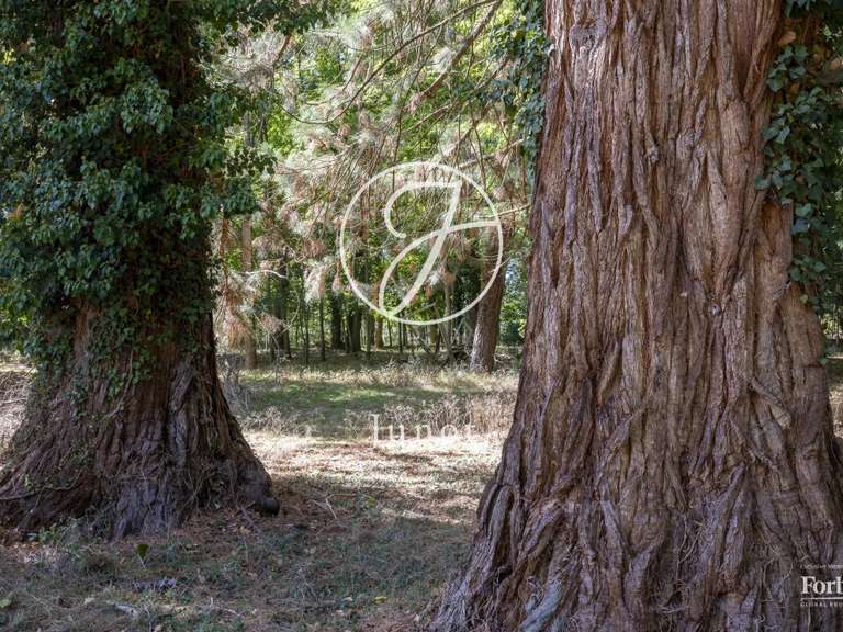 Moulin Rambouillet - 6 chambres - 370m²
