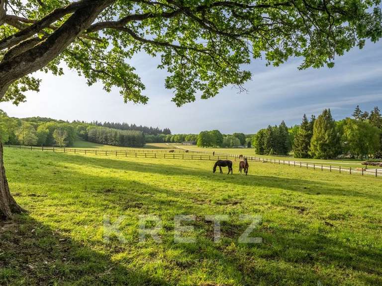 Propriété Rambouillet - 50 chambres - 3300m²