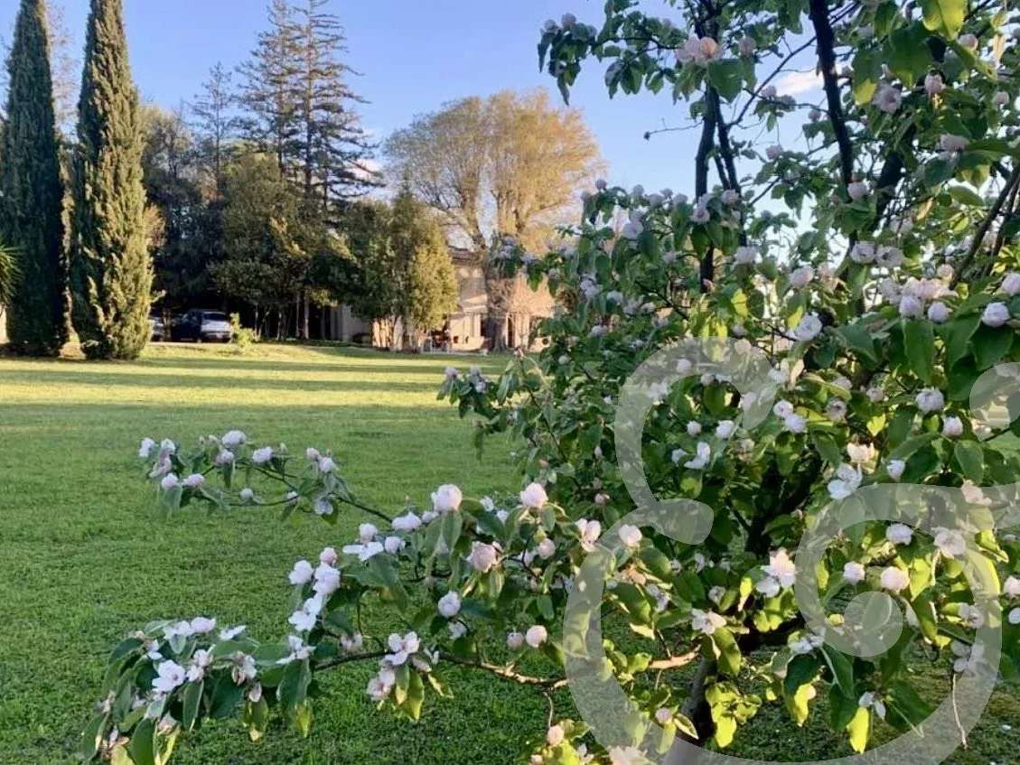 House raphele-les-arles