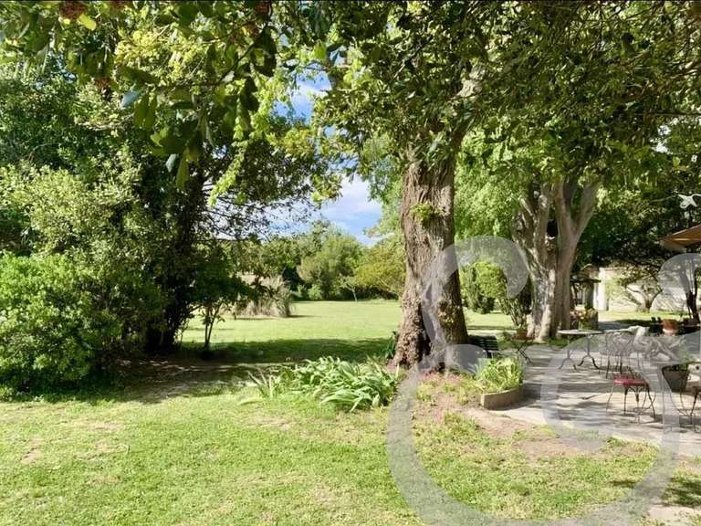 House raphele-les-arles - 5 bedrooms - 180m²