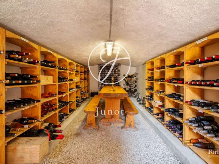 Maison Raphele-les-arles - 8 chambres - 542m²