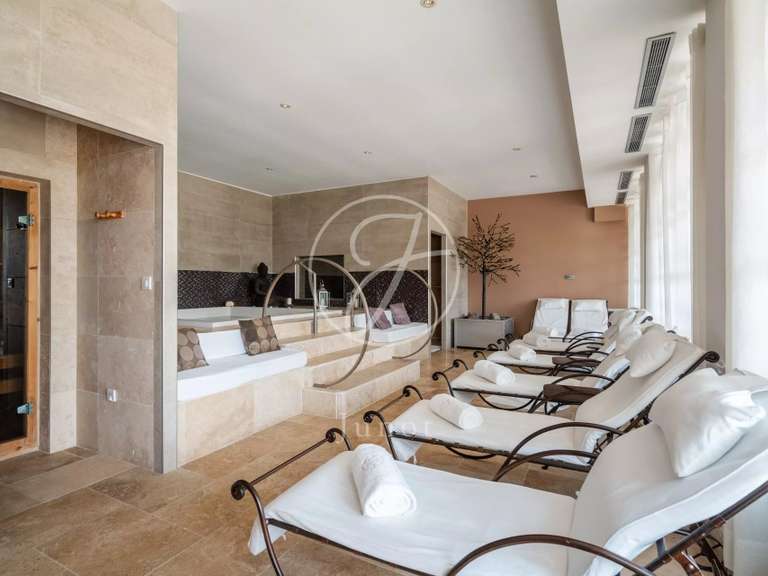 Maison Raphele-les-arles - 8 chambres - 542m²