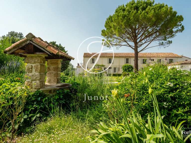 Maison Raphele-les-arles - 8 chambres - 542m²