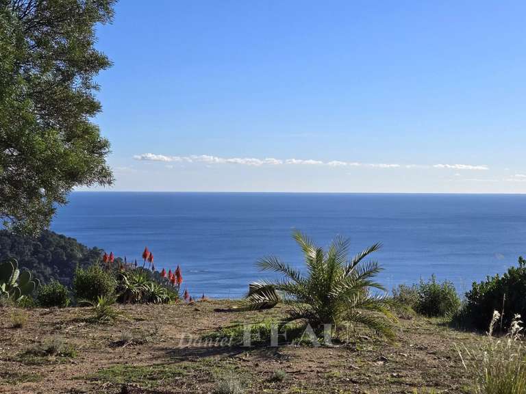 Villa avec Vue sur mer Rayol-Canadel-sur-Mer - 6 chambres - 162m²