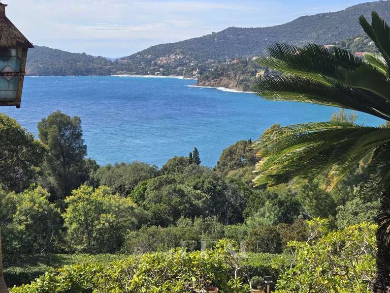 Villa Rayol-Canadel-sur-Mer - 7 chambres - 461m²