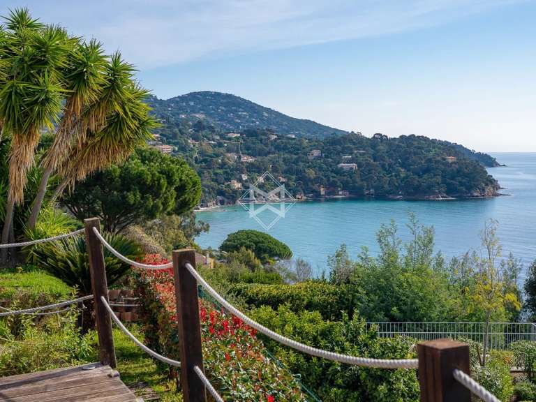 Villa avec Vue sur mer Rayol-Canadel-sur-Mer - 4 chambres - 175m²