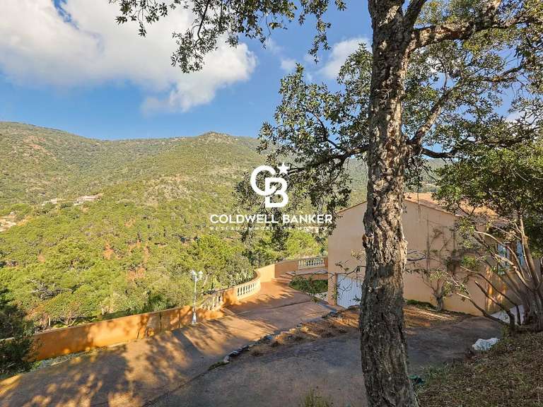 Villa Rayol-Canadel-sur-Mer - 4 chambres - 180m²